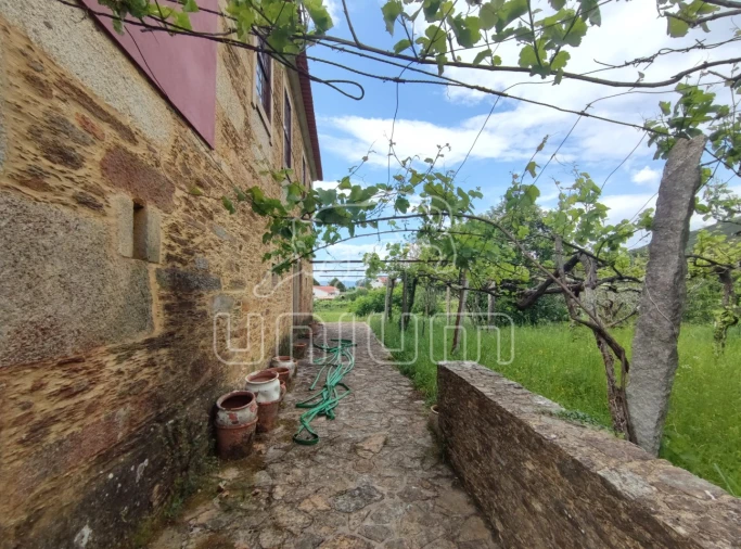 Quinta T5 para Venda em Venade e Azevedo Foto 6