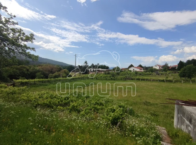 Quinta T5 para Venda em Venade e Azevedo Foto 9