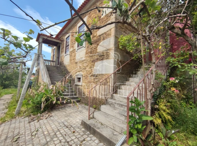 Quinta T5 para Venda em Venade e Azevedo Foto 12