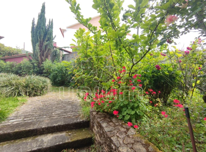 Quinta T5 para Venda em Venade e Azevedo Foto 13