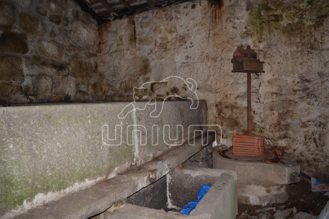 Quinta T3 para Venda em Souto e Tabaçô Foto 7