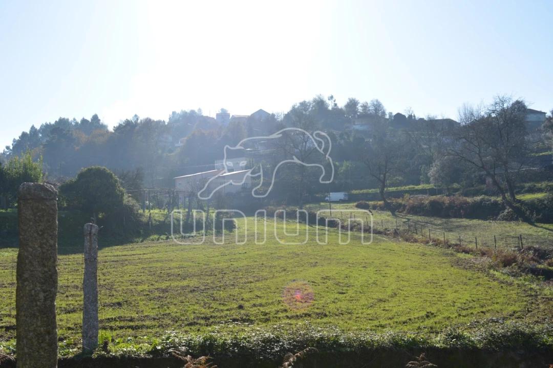 Quinta T3 para Venda em Souto e Tabaçô Foto 10