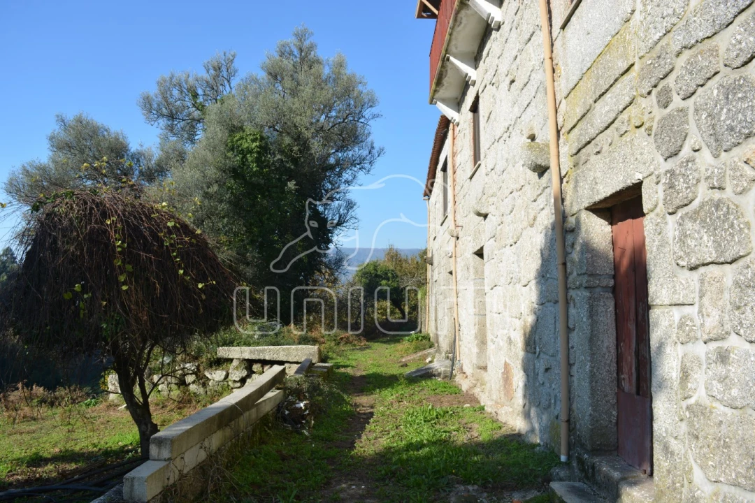 Quinta T3 para Venda em Souto e Tabaçô Foto 13