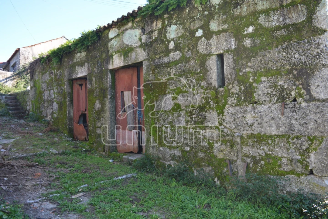 Quinta T3 para Venda em Souto e Tabaçô Foto 15