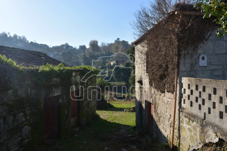 Quinta T3 para Venda em Souto e Tabaçô Foto 4
