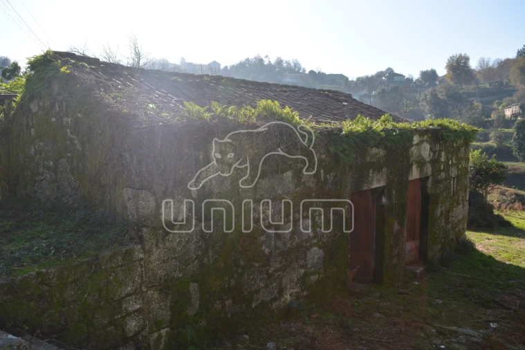 Quinta T3 para Venda em Souto e Tabaçô Foto 6