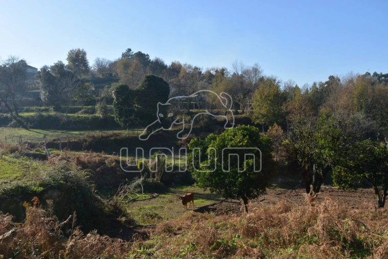 Quinta T3 para Venda em Souto e Tabaçô Foto 8