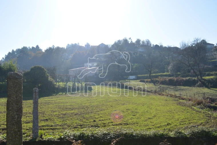 Quinta T3 para Venda em Souto e Tabaçô Foto 10