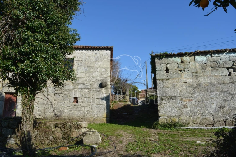 Quinta T3 para Venda em Souto e Tabaçô Foto 11