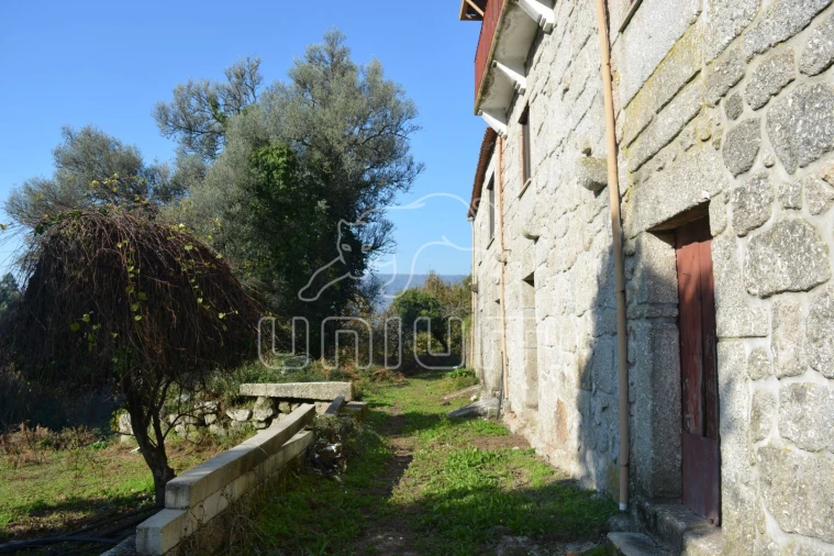 Quinta T3 para Venda em Souto e Tabaçô Foto 13