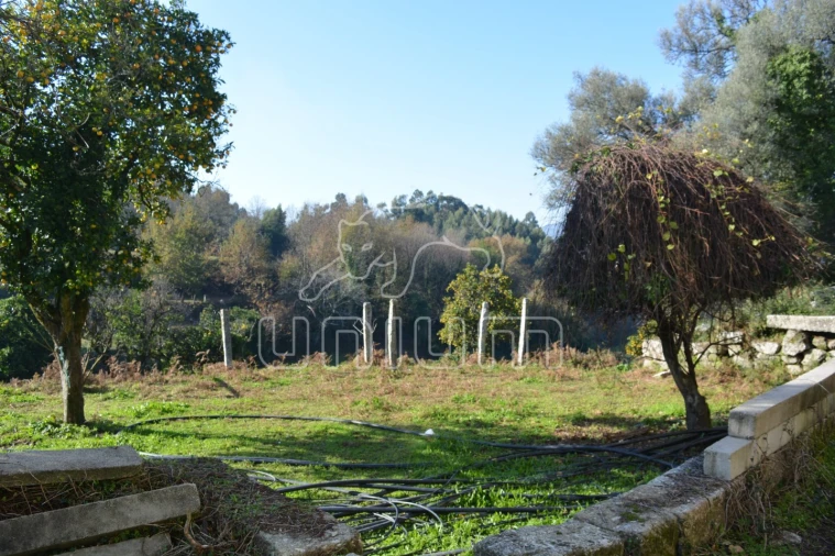 Quinta T3 para Venda em Souto e Tabaçô Foto 14