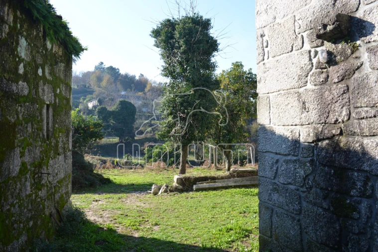 Quinta T3 para Venda em Souto e Tabaçô Foto 16
