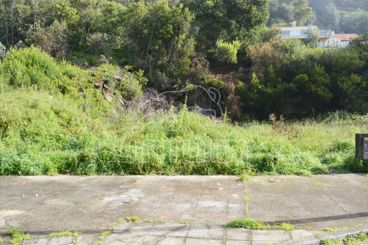 Terreno para Venda em Areosa Foto 2