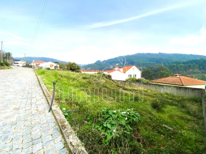 Terreno para Venda em Subportela, Deocriste e Portela Susã Foto 3