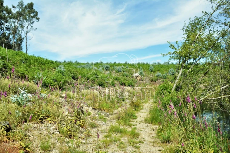 Terreno para Venda em Anais Foto 8