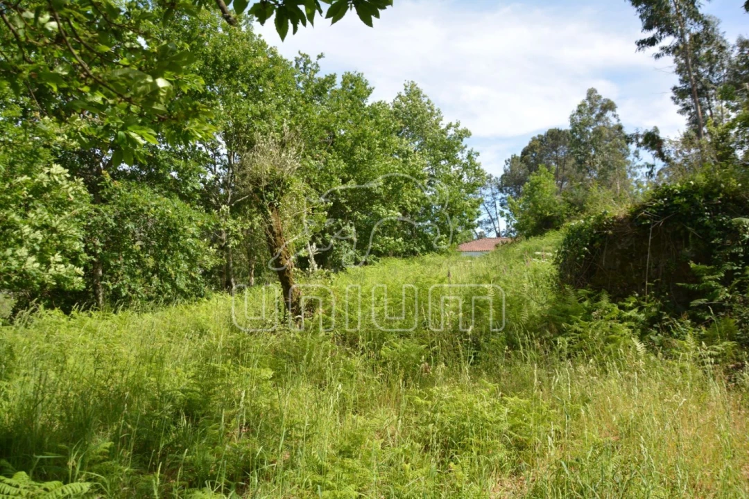 Terreno para Venda em Anais Foto 5