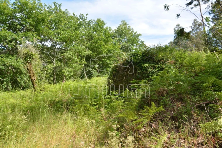 Terreno para Venda em Anais Foto 3