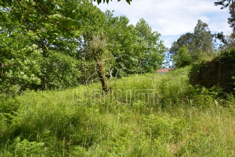 Terreno para Venda em Anais Foto 6