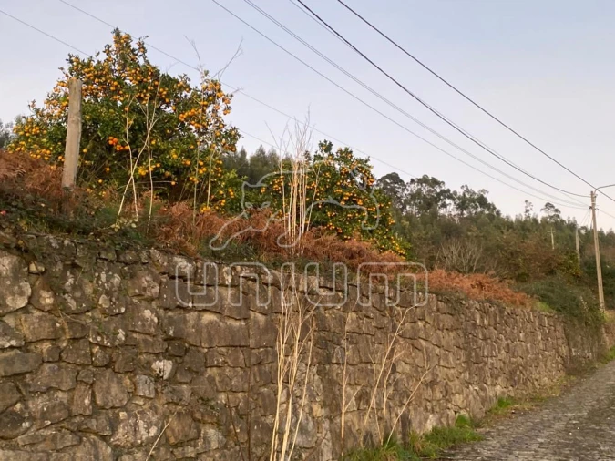 Terreno para Venda em Brandara Foto 2