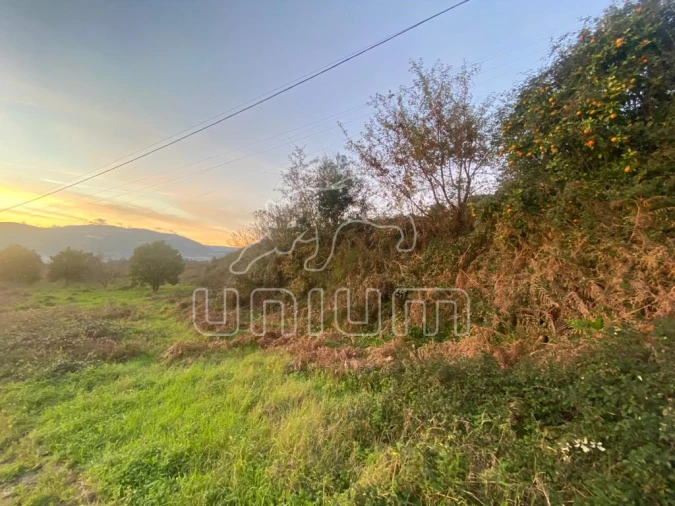 Terreno para Venda em Brandara Foto 3