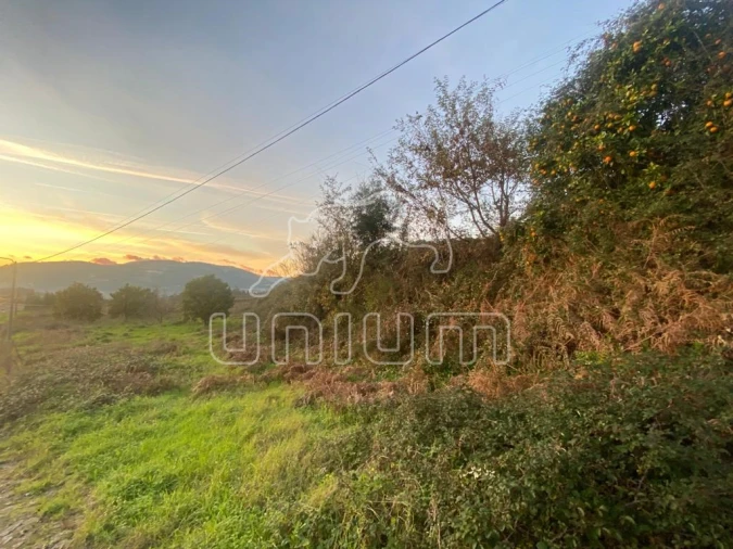 Terreno para Venda em Brandara Foto 6