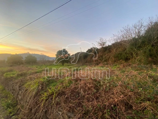 Terreno para Venda em Brandara Foto 11