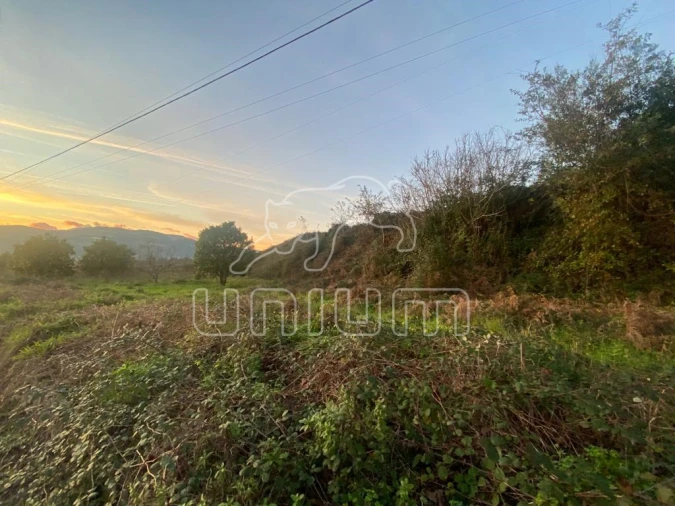 Terreno para Venda em Brandara Foto 12