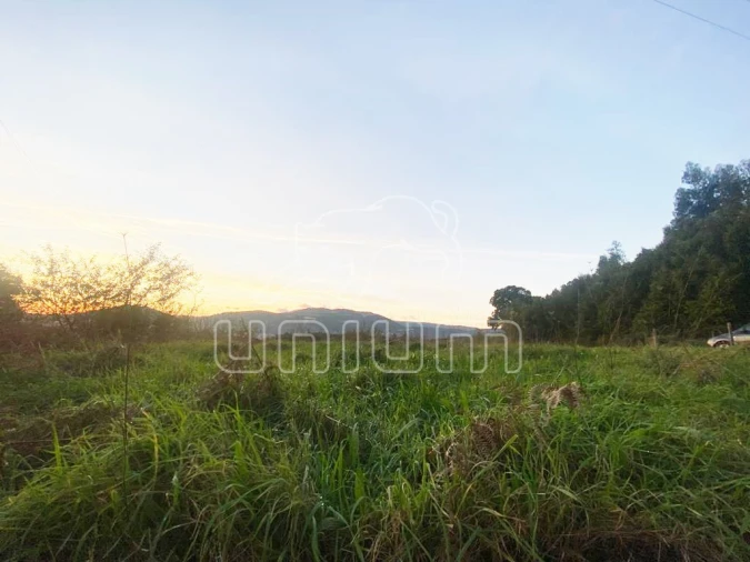 Terreno para Venda em Brandara Foto 14
