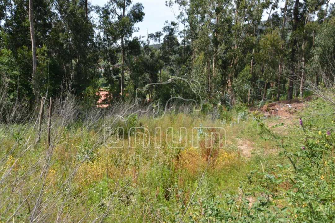 Terreno para Venda em Ribeira do Neiva Foto 2