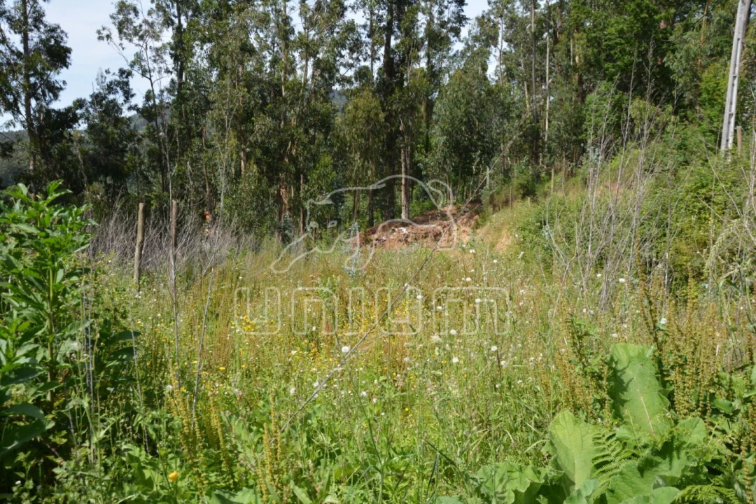 Terreno para Venda em Ribeira do Neiva Foto 3