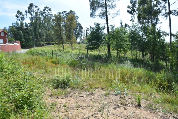 Terreno para Venda em Ribeira do Neiva Foto 6