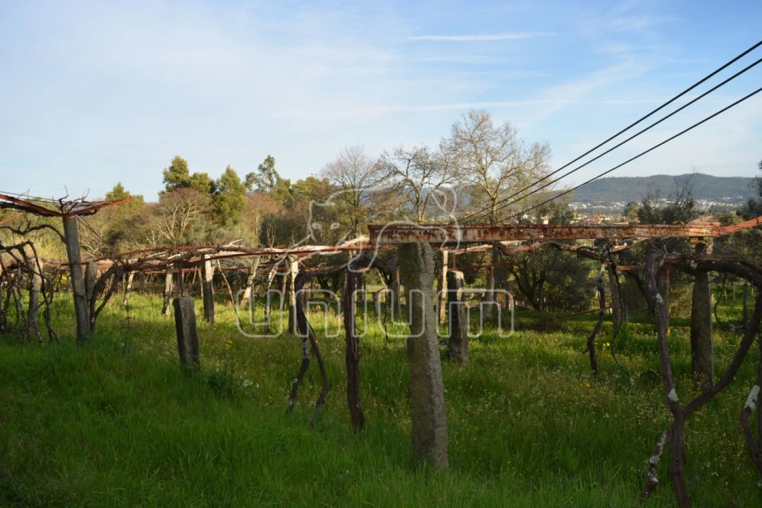 Quinta T3 para Venda em Cardielos e Serreleis Foto 7