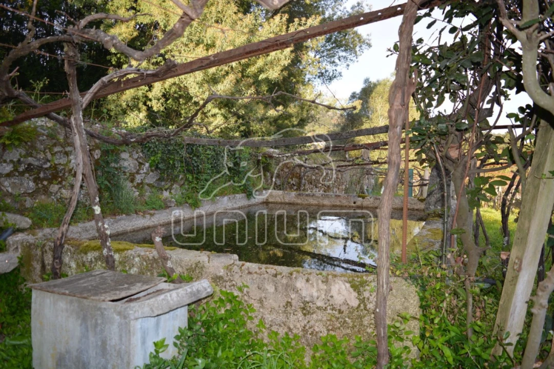 Quinta T3 para Venda em Cardielos e Serreleis Foto 9