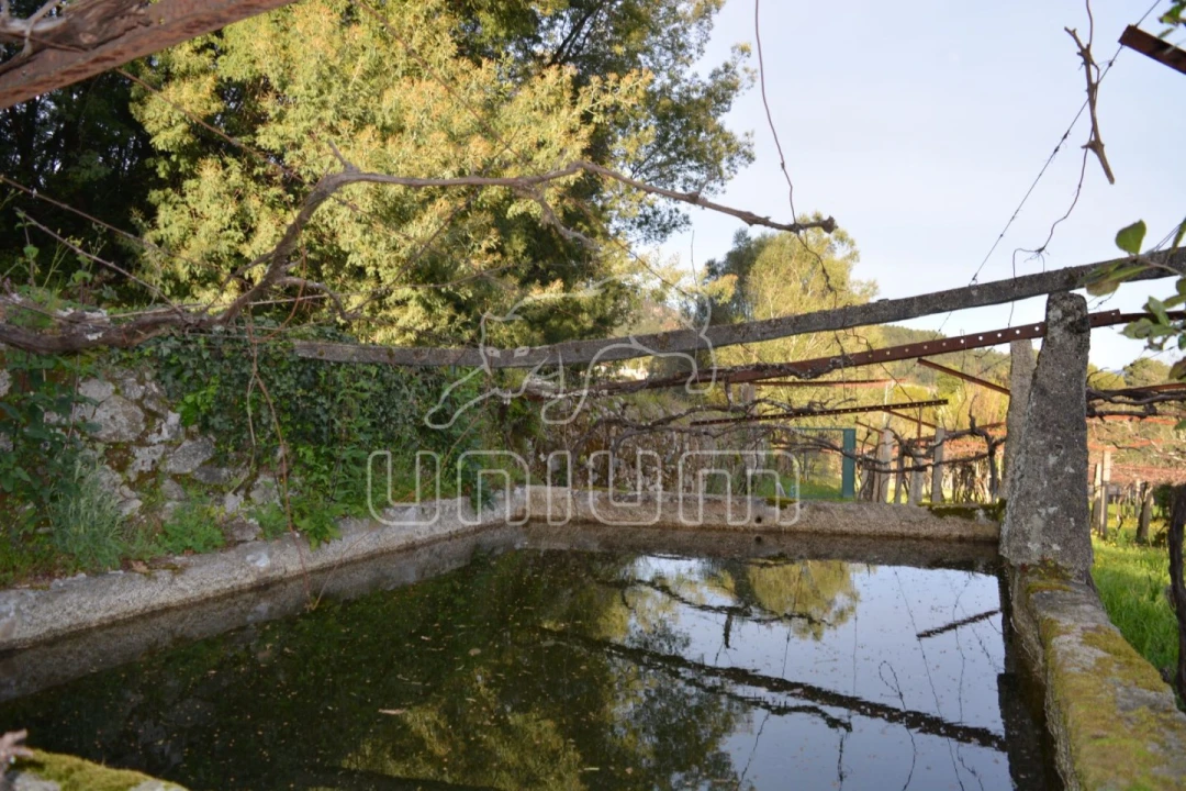 Quinta T3 para Venda em Cardielos e Serreleis Foto 10