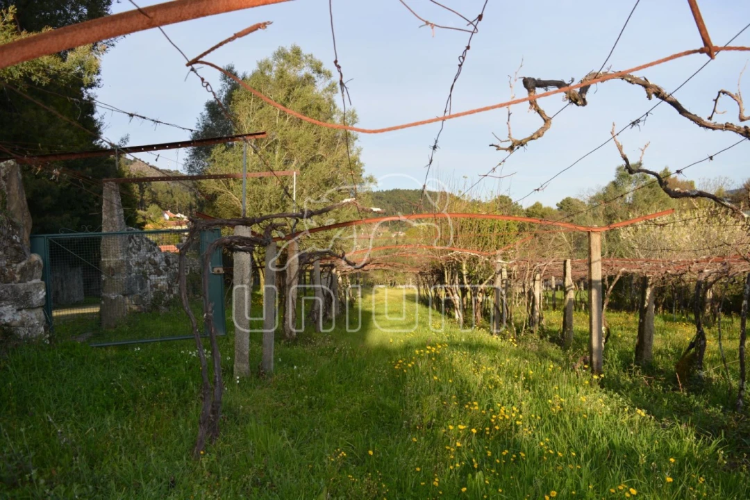 Quinta T3 para Venda em Cardielos e Serreleis Foto 13