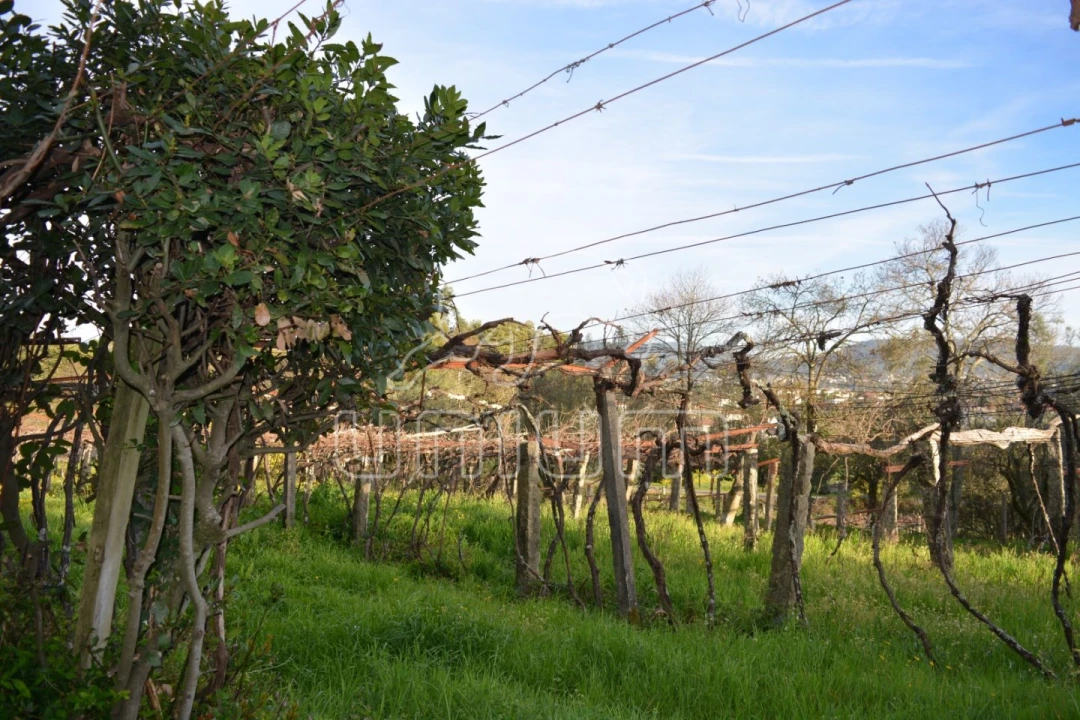 Quinta T3 para Venda em Cardielos e Serreleis Foto 14