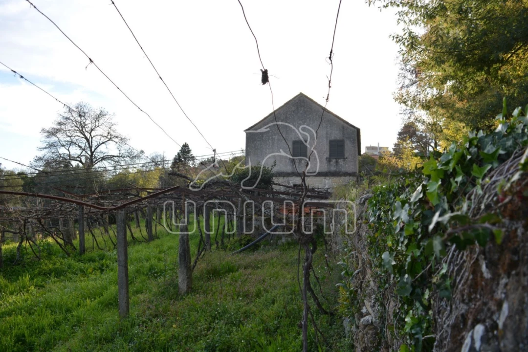 Quinta T3 para Venda em Cardielos e Serreleis Foto 15