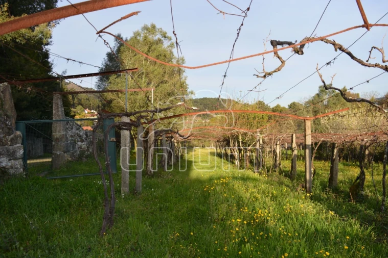 Quinta T3 para Venda em Cardielos e Serreleis Foto 13