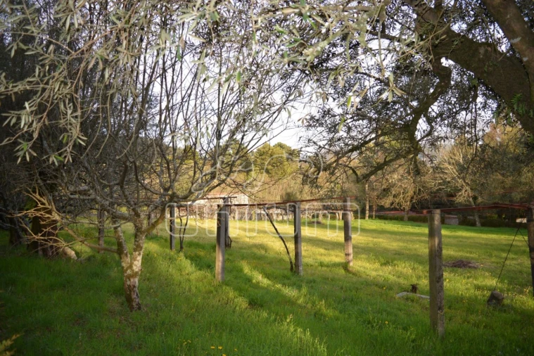 Quinta T3 para Venda em Cardielos e Serreleis Foto 12