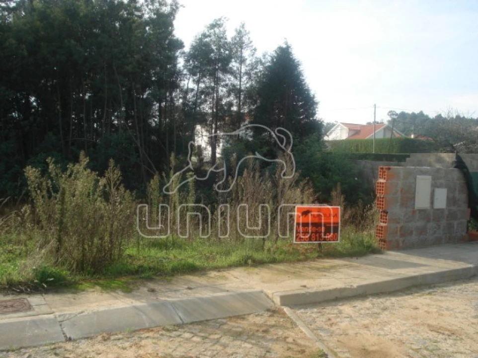 Terreno para Venda em Carreço Foto 1