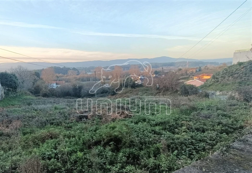 Terreno para Venda em Campos e Vila Meã Foto 2
