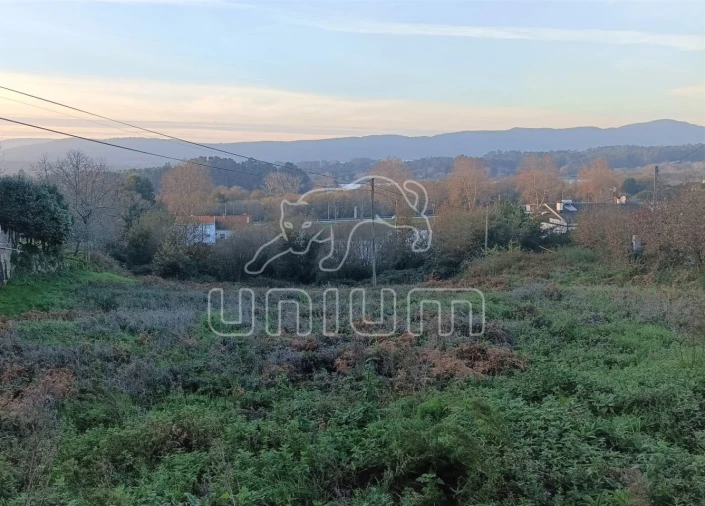 Terreno para Venda em Campos e Vila Meã Foto 4