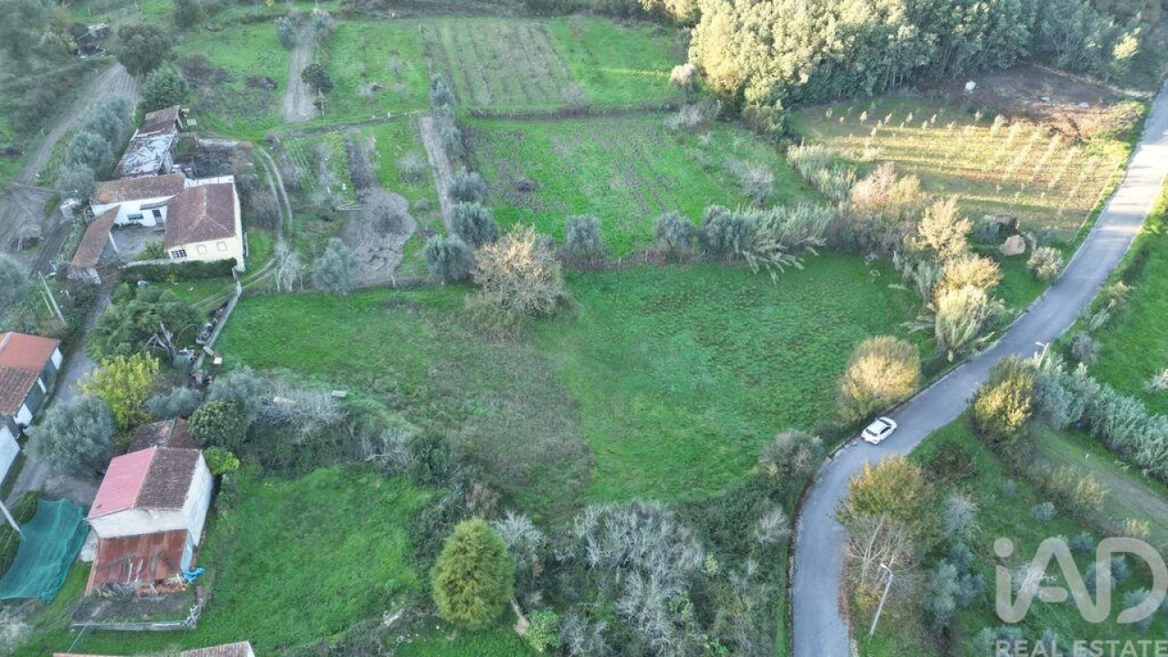 Terreno para Venda em Semide e Rio Vide Foto 12