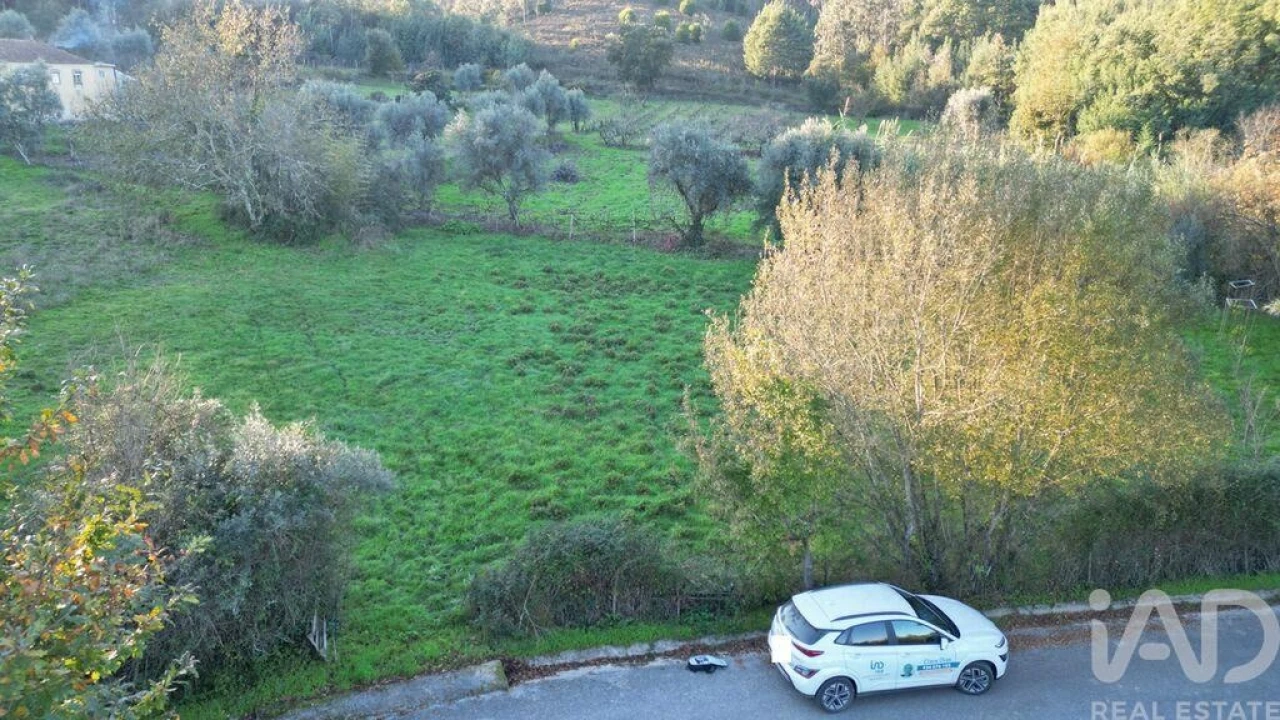 Terreno para Venda em Semide e Rio Vide Foto 2