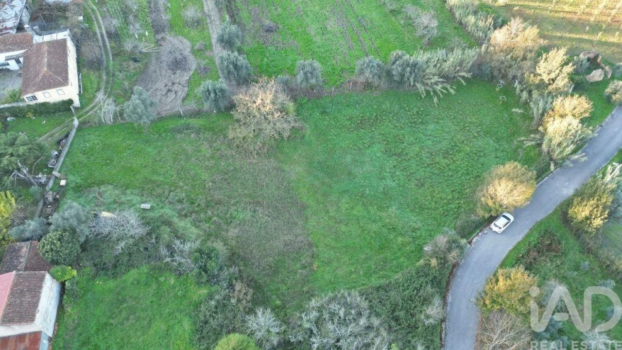 Terreno para Venda em Semide e Rio Vide Foto 13