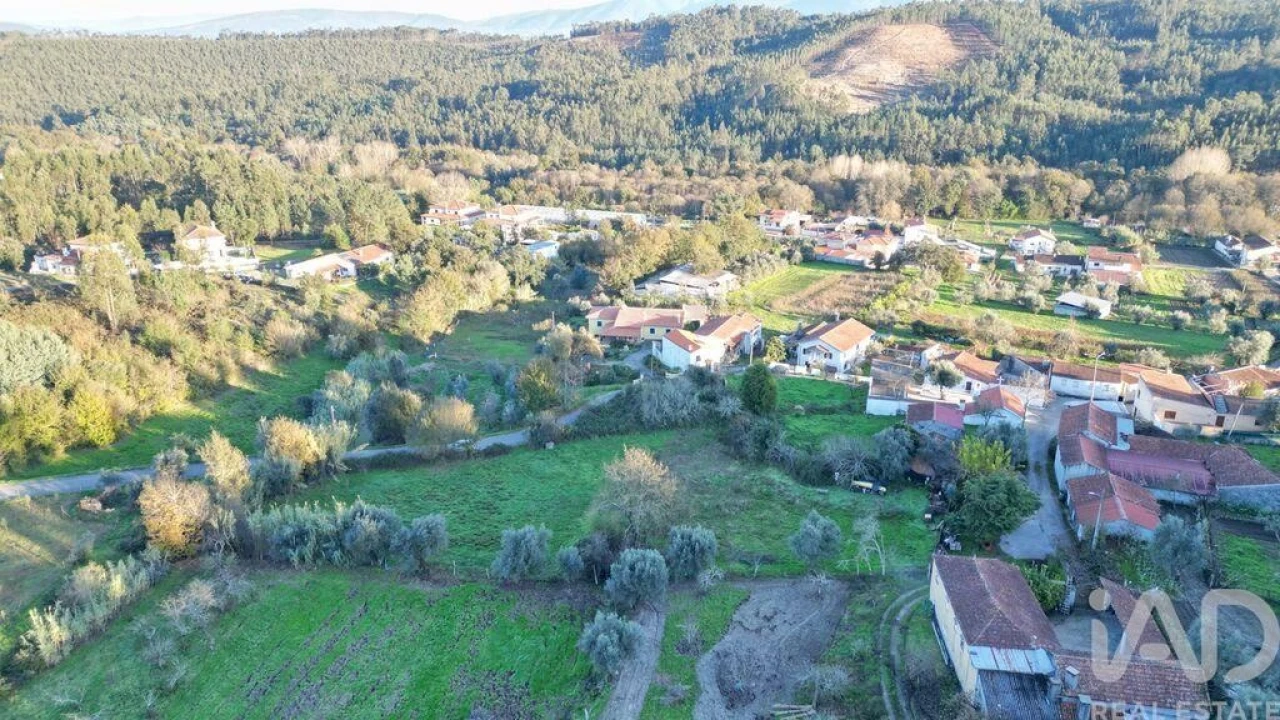 Terreno para Venda em Semide e Rio Vide Foto 10