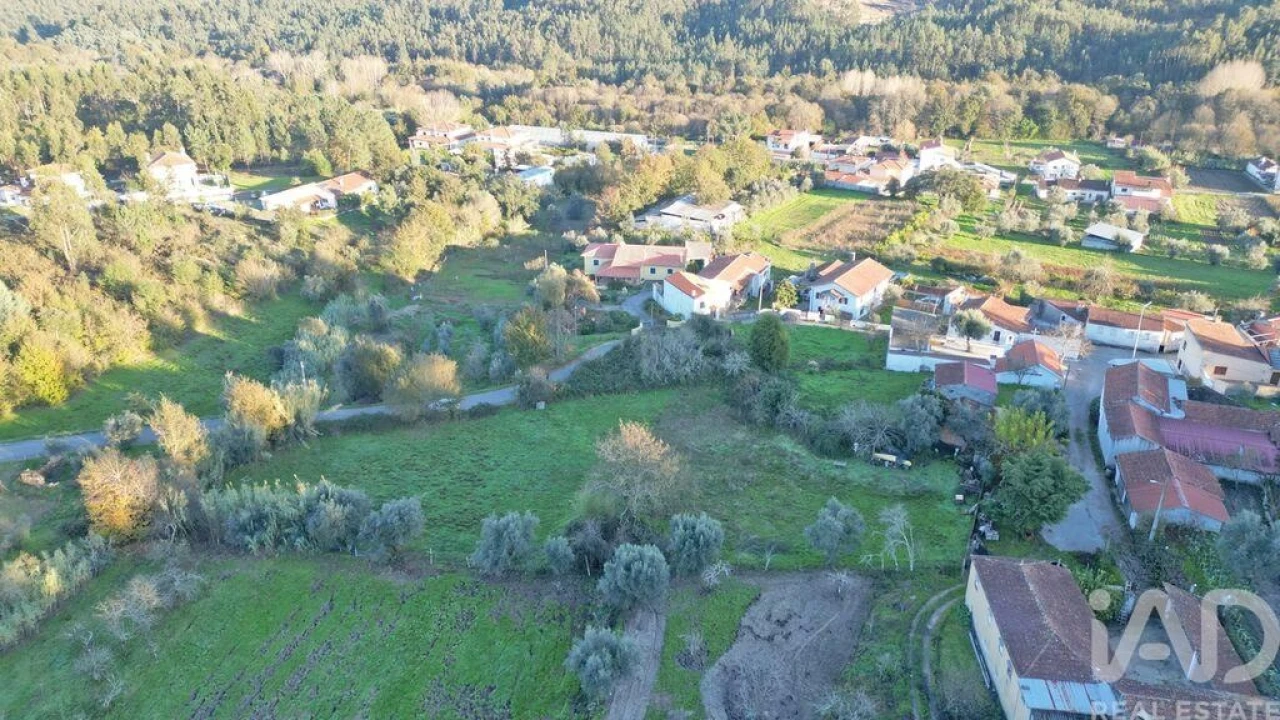Terreno para Venda em Semide e Rio Vide Foto 9