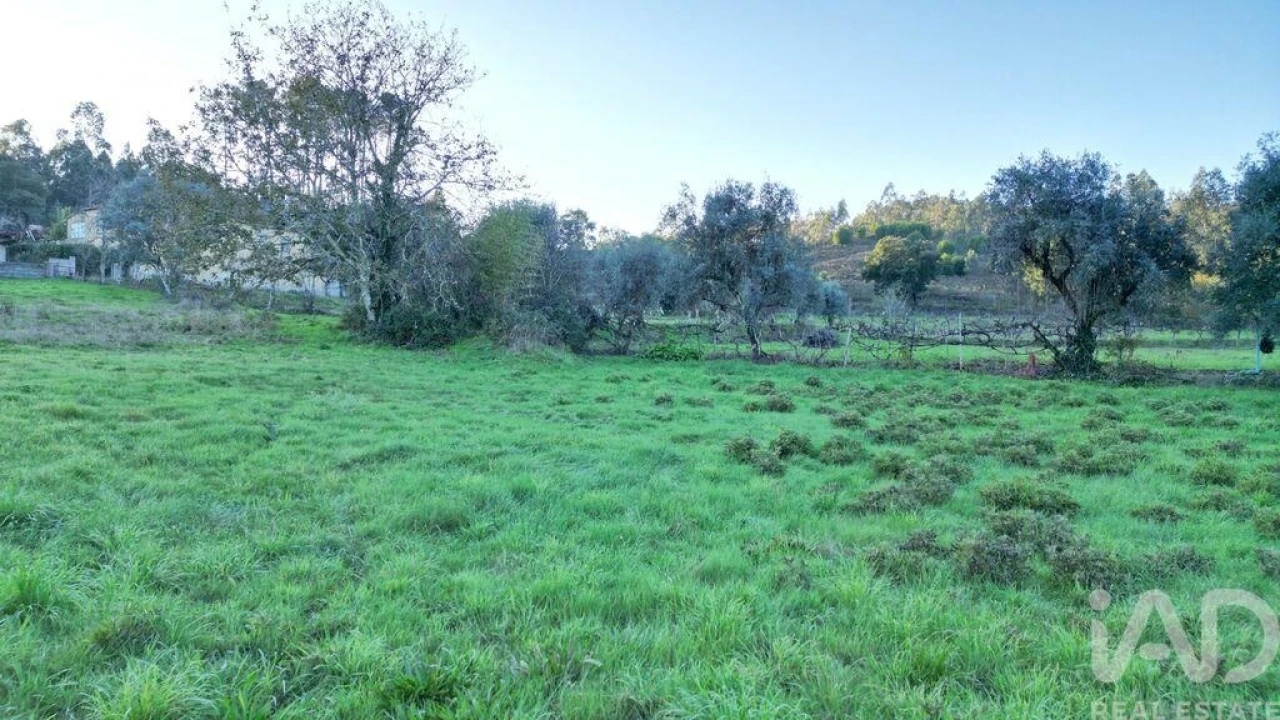 Terreno para Venda em Semide e Rio Vide Foto 16