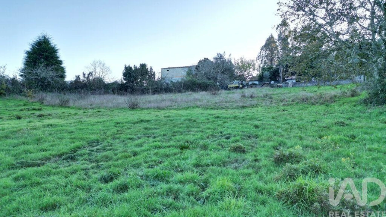 Terreno para Venda em Semide e Rio Vide Foto 20