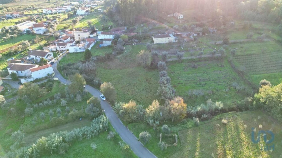 Terreno para Venda em Semide e Rio Vide Foto 14